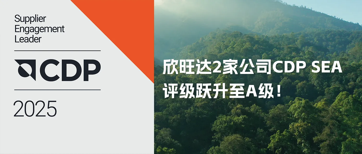 微信图片_20260605153531_283_8.png